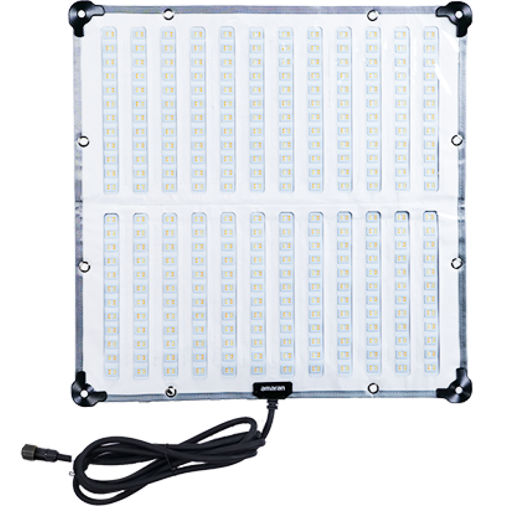 amaran F22x - Bicolor