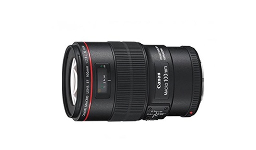 Canon EF 100MM f/2.8 L Macro IS USM